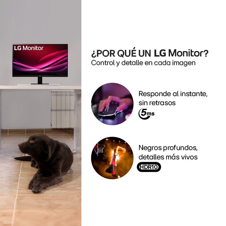 Vista en perspectiva